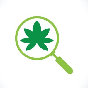 cannabis leaf illustration